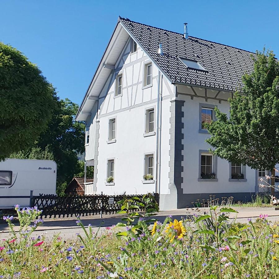 Apartment Kerbholz - Zwischen Suedschwarzwald Und Schweiz Griessen Eksteriør billede