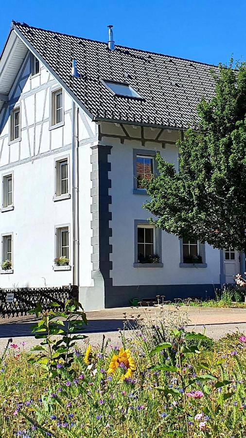 Apartment Kerbholz - Zwischen Suedschwarzwald Und Schweiz Griessen Eksteriør billede